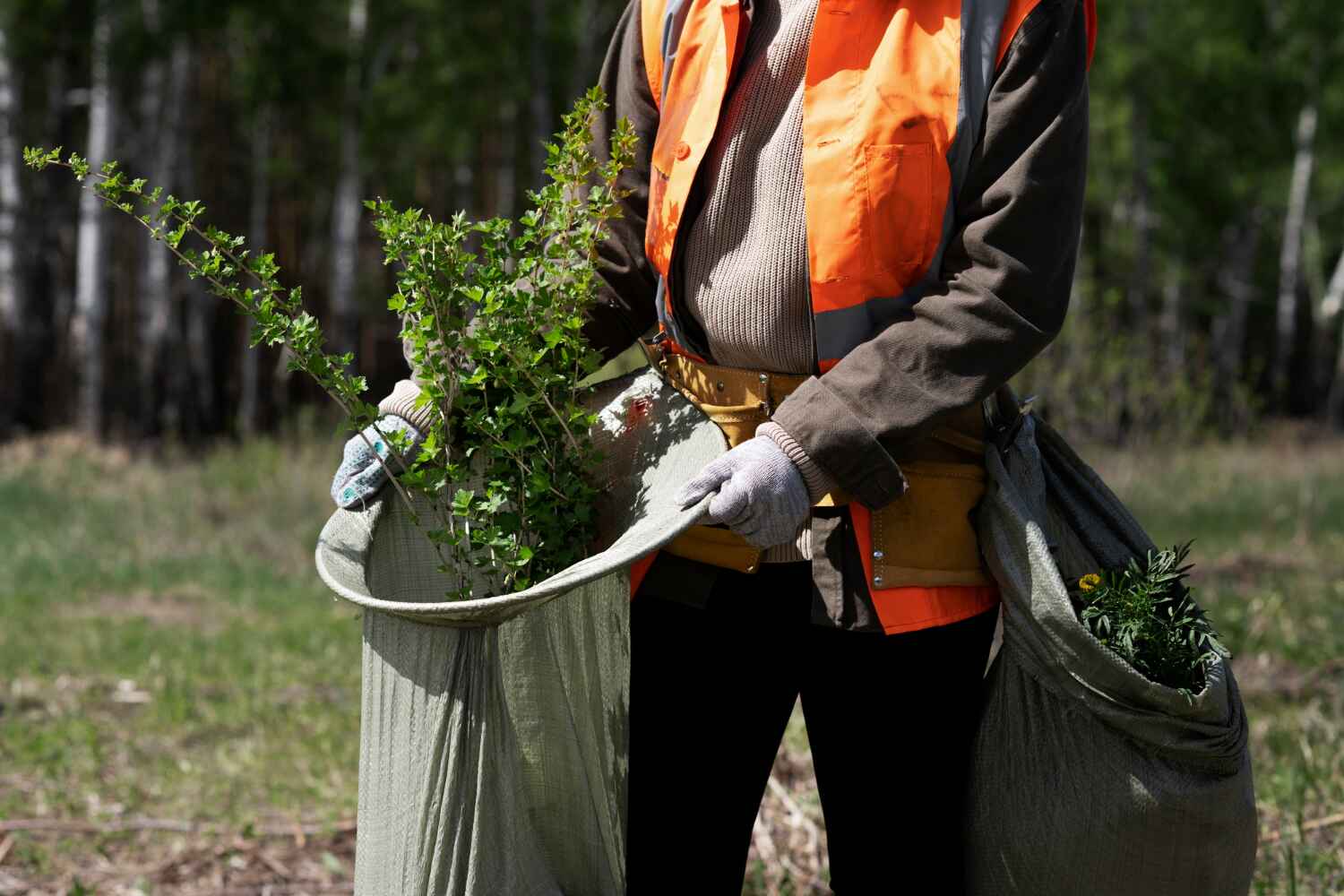  Bear Creek, FL TreeGuard Tree Service Pros